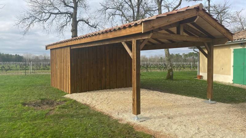 Abri de jardin et voiture à budos
