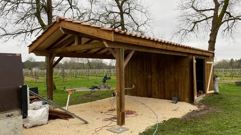 Abri de jardin et voiture à budos